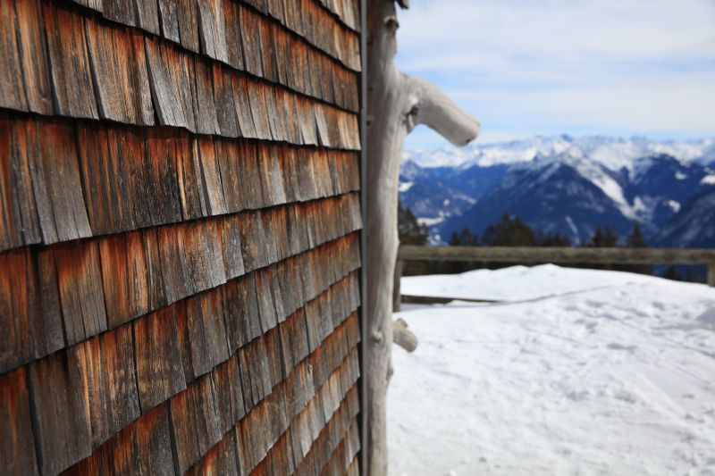 Cedar Siding with Protective Coating