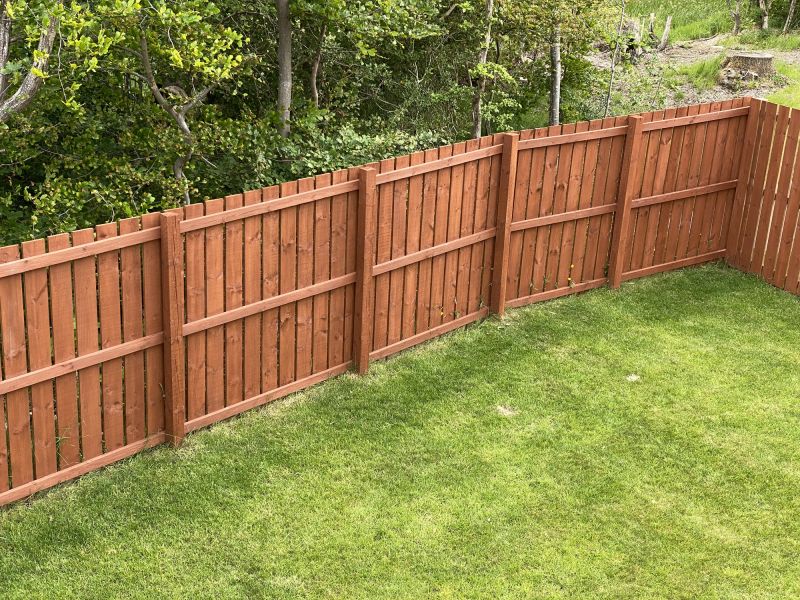 Painting of backyard fence